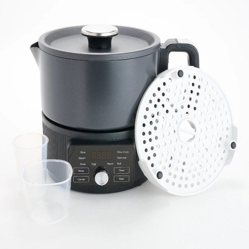 Graphite Multicooker QVC